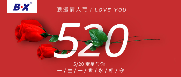 520宝星与你一生一世永相守